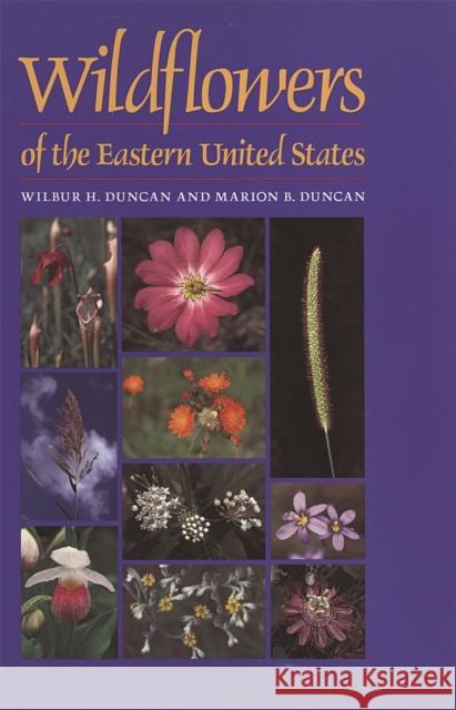 Wildflowers of the Eastern United States Wilbur H. Duncan Marion B. Duncan 9780820327471 University of Georgia Press