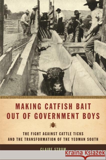 Making Catfish Bait Out of Government Boys: The Fight Against Cattle Ticks and the Transformation of the Yeoman South Strom, Claire 9780820327495 University of Georgia Press
