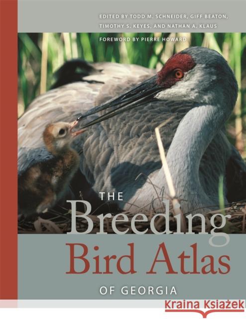 The Breeding Bird Atlas of Georgia Todd M. Schneider Giff Beaton Timothy S. Keyes 9780820328935 
