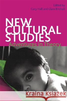 New Cultural Studies : Adventures in Theory Gary Hall Clare Birchall 9780820329598