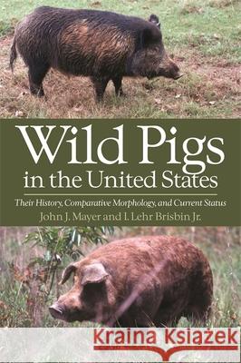 Wild Pigs in the United States: Their History, Comparative Morphology, and Current Status Mayer, John J. 9780820331379 University of Georgia Press