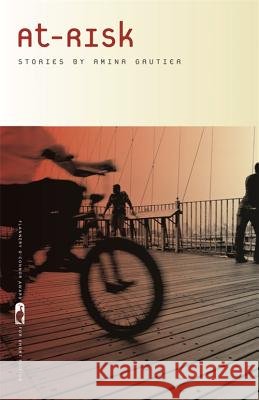 At-Risk : Stories Amina Gautier 9780820338880
