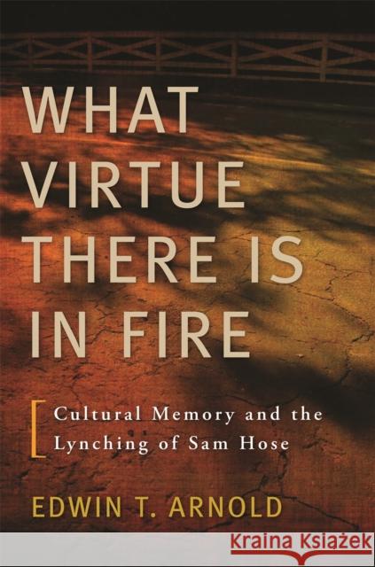 What Virtue There Is in Fire: Cultural Memory and the Lynching of Sam Hose Arnold, Edwin T. 9780820340647 University of Georgia Press