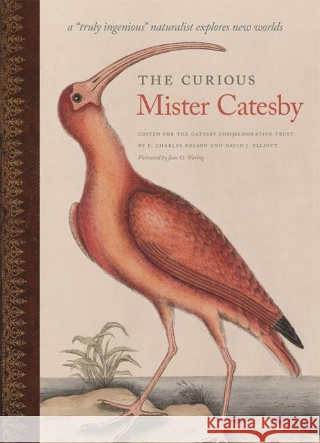 The Curious Mister Catesby: A Truly Ingenious Naturalist Explores New Worlds Nelson, E. Charles 9780820347264