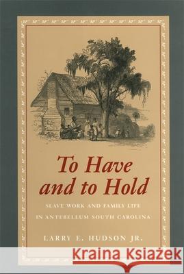 To Have and to Hold: Slave Work and Family Life in Antebellum South Carolina Hudson, Larry E., Jr. 9780820350370 University of Georgia Press
