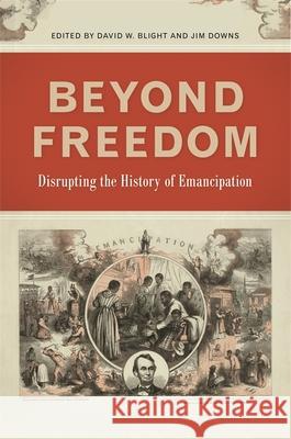 Beyond Freedom: Disrupting the History of Emancipation David W. Blight Jim Downs Eric Foner 9780820351483 University of Georgia Press