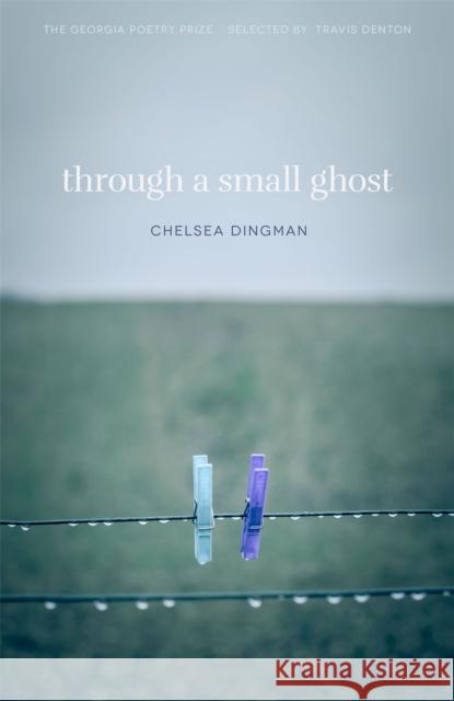 Through a Small Ghost: Poems Chelsea Dingman 9780820356570 University of Georgia Press