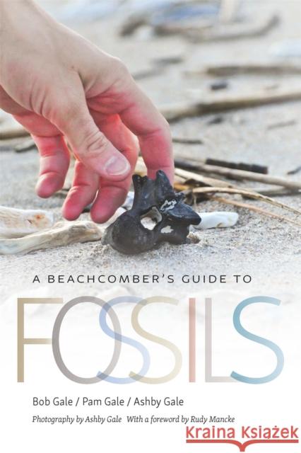 A Beachcomber's Guide to Fossils Bob Gale Pam Gale Ashby Gale 9780820357324 University of Georgia Press