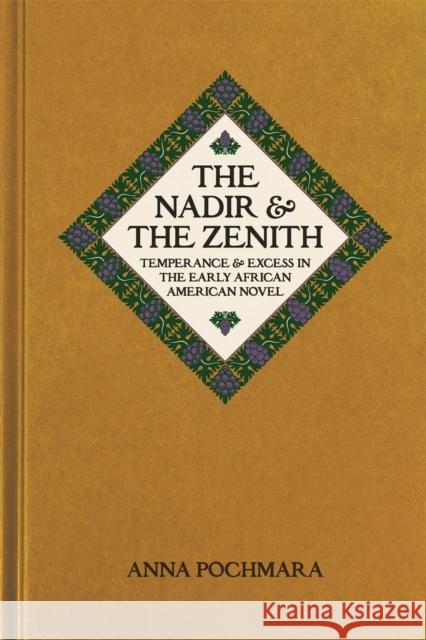 The Nadir and the Zenith: Temperance and Excess in the Early African American Novel Anna Pochmara 9780820358918 University of Georgia Press