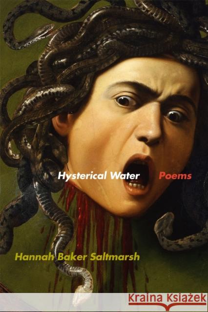 Hysterical Water: Poems Hannah Baker Saltmarsh 9780820359007 University of Georgia Press