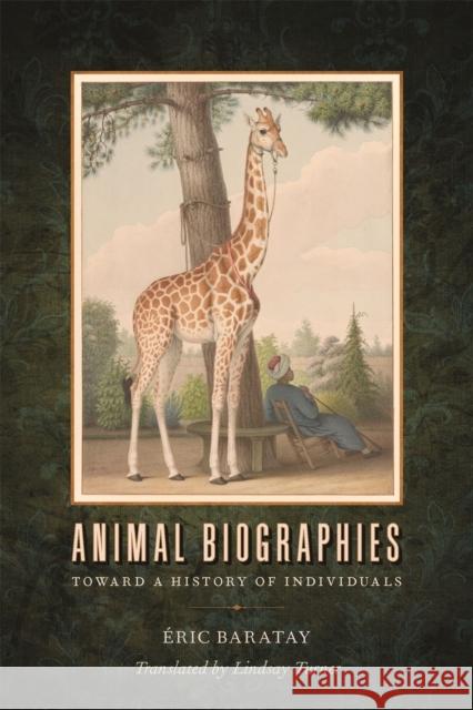 Animal Biographies: Toward a History of Individuals  Baratay Lindsay Turner 9780820362182 University of Georgia Press