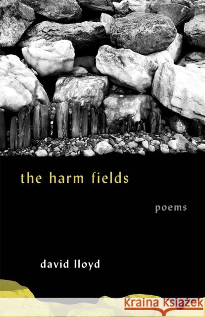 The Harm Fields: Poems David Lloyd 9780820362625