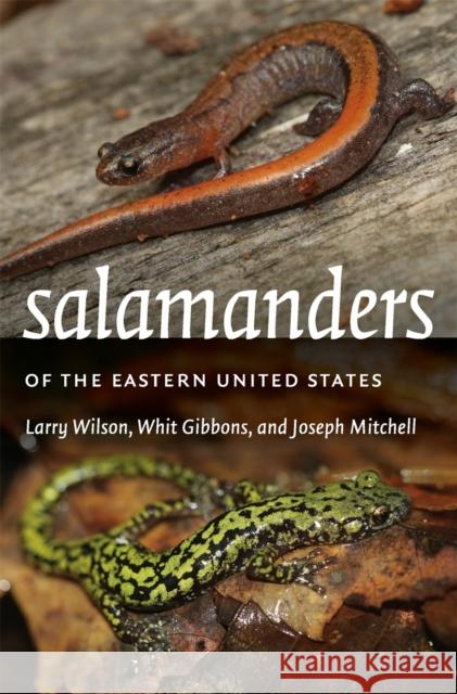 Salamanders of the Eastern United States Joe Mitchell 9780820365732 University of Georgia Press