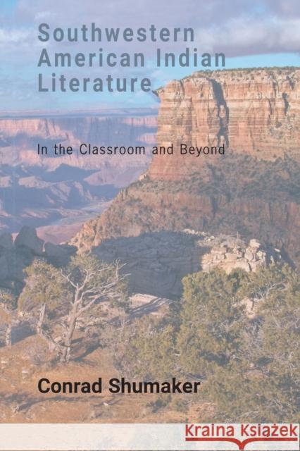 Southwestern American Indian Literature; In the Classroom and Beyond Delaney Hoffman, Elizabeth 9780820463445