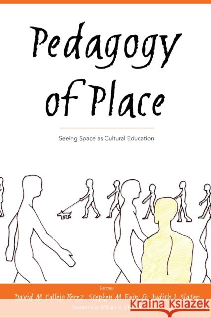 Pedagogy of Place: Seeing Space as Cultural Education Steinberg, Shirley R. 9780820469102