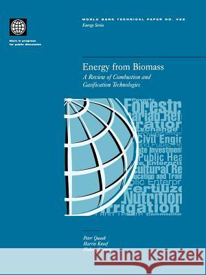 Energy from Biomass: A Review of Combustion and Gasification Technologies Stassen, Hubert E. 9780821343357 World Bank Publications