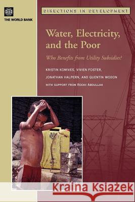 Water, Electricity, and the Poor: Who Benefits from Utility Subsidies? Wodon, Quentin 9780821363423