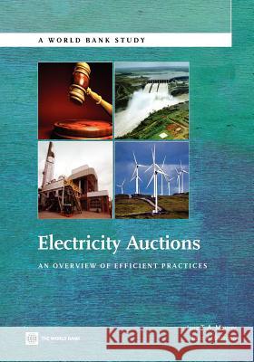 Electricity Auctions: An Overview of Efficient Practices Maurer, Luiz 9780821388228 World Bank Publications