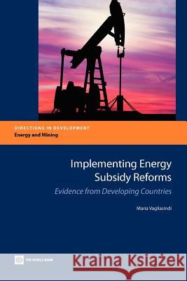Implementing Energy Subsidy Reforms Vagliasindi, Maria 9780821395615 World Bank Publications