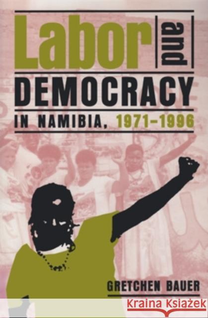 Labor & Democracy in Namibia: 1971-1996 Gretchen Bauer 9780821412169 Ohio University Press