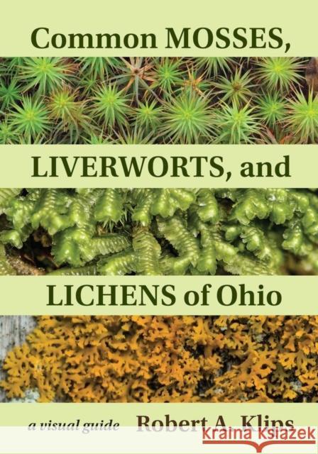 Common Mosses, Liverworts, and Lichens of Ohio: A Visual Guide Robert Klips 9780821424735 Ohio University Press