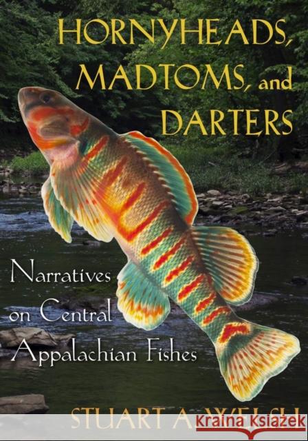Hornyheads, Madtoms, and Darters Stuart A. Welsh 9780821426104 Ohio University Press