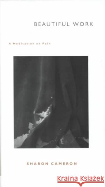 Beautiful Work: A Meditation on Pain Cameron, Sharon 9780822325086 Duke University Press