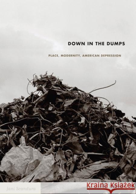 Down in the Dumps: Place, Modernity, American Depression Jani Scandura 9780822336549 Duke University Press