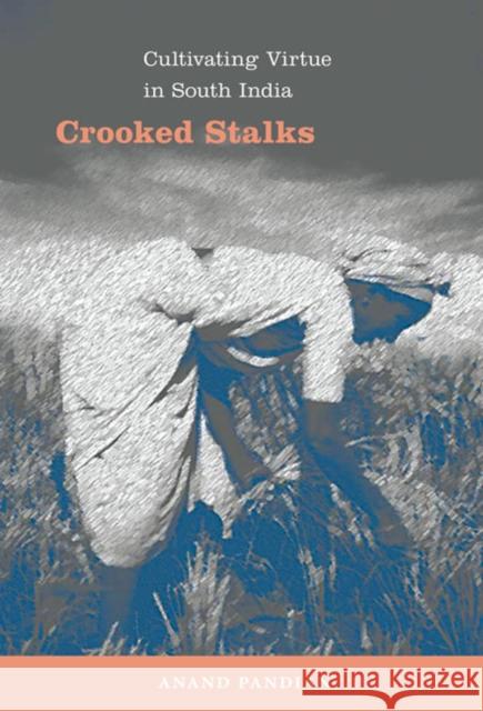 Crooked Stalks: Cultivating Virtue in South India Pandian, Anand 9780822345145