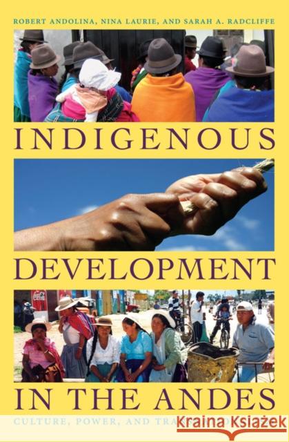 Indigenous Development in the Andes: Culture, Power, and Transnationalism Andolina, Robert 9780822345237 Not Avail