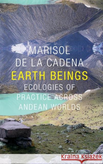 Earth Beings: Ecologies of Practice Across Andean Worlds Marisol D 9780822359449 Duke University Press