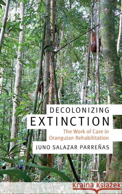 Decolonizing Extinction: The Work of Care in Orangutan Rehabilitation Juno Salazar Parrenas 9780822370628 Duke University Press