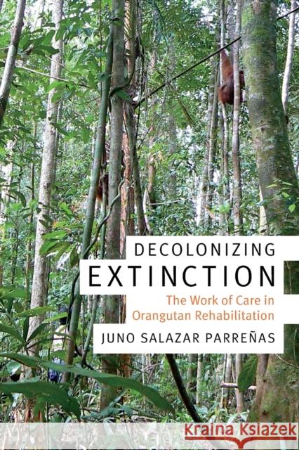 Decolonizing Extinction: The Work of Care in Orangutan Rehabilitation Juno Salazar Parrenas 9780822370772 Duke University Press