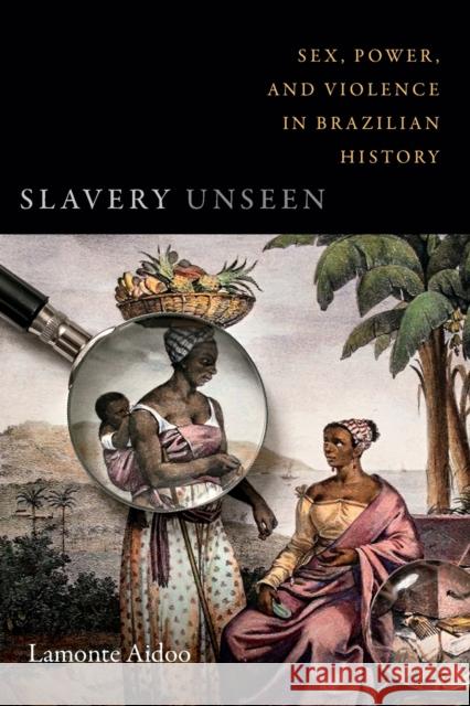 Slavery Unseen: Sex, Power, and Violence in Brazilian History LaMonte Aidoo 9780822371298