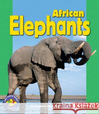 African Elephants Shannon Knudsen 9780822558392 Lerner Publications