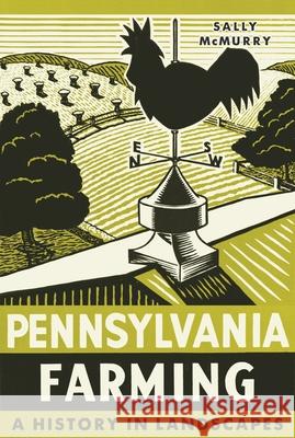 Pennsylvania Farming: A History in Landscapes Sally McMurry 9780822945154