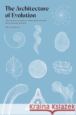The Architecture of Evolution: The Science of Form in Twentieth-Century Evolutionary Biology Marco Tamborini 9780822947356