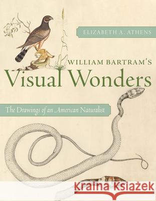 William Bartram's Visual Wonders: The Botanical Drawings of an American Naturalist Elizabeth A Athens 9780822948261 University of Pittsburgh Press