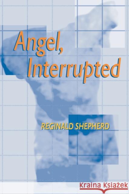Angel Interrupted Reginald Shepherd 9780822956143