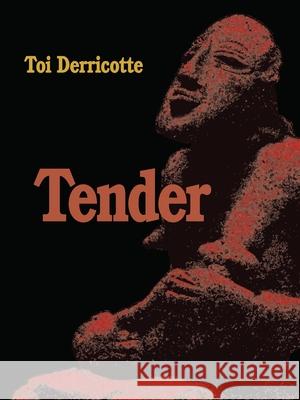 Tender Toi Derricotte 9780822956402 University of Pittsburgh Press