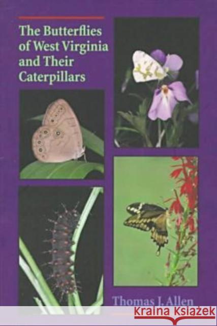 The Butterflies of West Virginia and Their Caterpillars Allen, Thomas 9780822956570