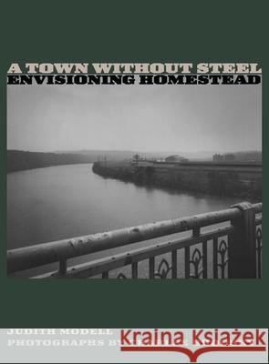 A Town Without Steel: Envisioning Homestead Judith Modell 9780822956761 University of Pittsburgh Press