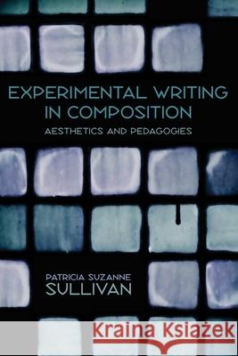 Experimental Writing in Composition: Aesthetics and Pedagogies Sullivan, Patricia Suzanne 9780822962083
