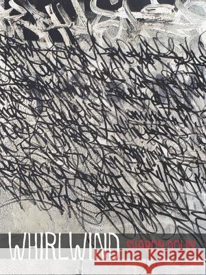 Whirlwind Sharon Dolin 9780822962212 University of Pittsburgh Press