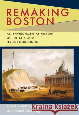 Remaking Boston: An Environmental History of the City and Its Surroundings Anthony N. Penna Conrad Edick Wright 9780822963011 University of Pittsburgh Press