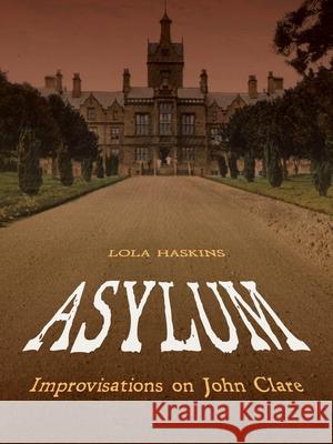 Asylum: Improvisations on John Clare Lola Haskins 9780822965800