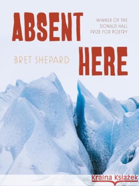 Absent Here: Poems Bret Shepard 9780822967286 University of Pittsburgh Press