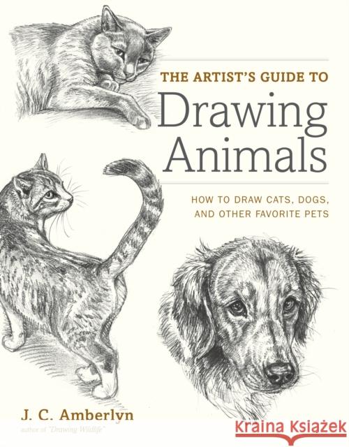 The Artist's Guide to Drawing Animals: How to Draw Cats, Dogs, and Other Favorite Pets Amberlyn, J. C. 9780823014231 0