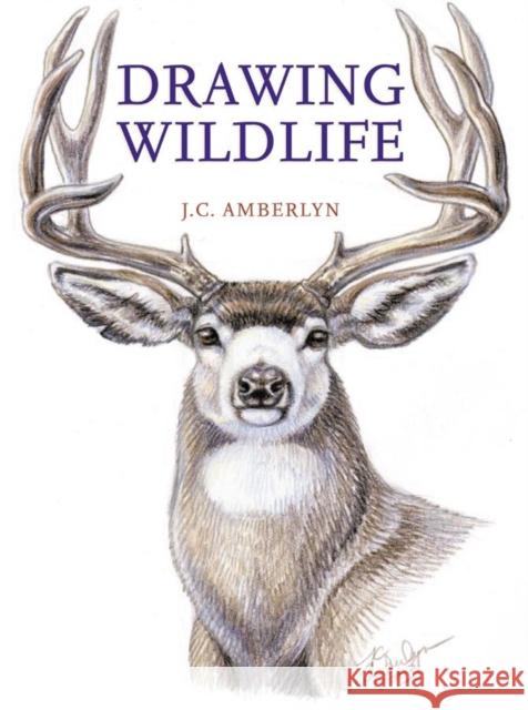 Drawing Wildlife J. C. Amberlyn 9780823023790 Watson-Guptill Publications