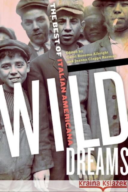 Wild Dreams: The Best of Italian Americana Carol Albright 9780823229109